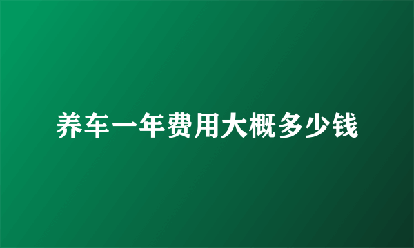 养车一年费用大概多少钱