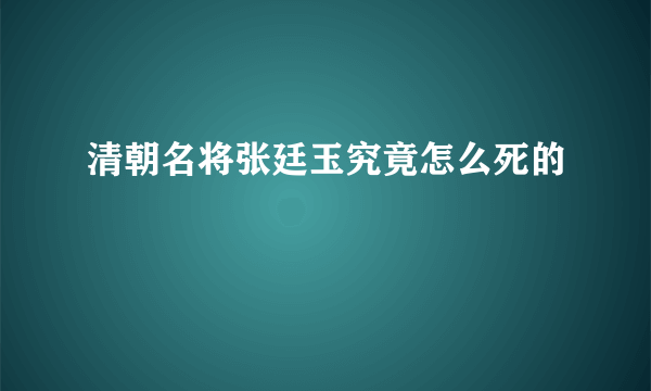 清朝名将张廷玉究竟怎么死的