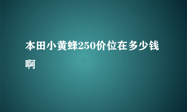 本田小黄蜂250价位在多少钱啊