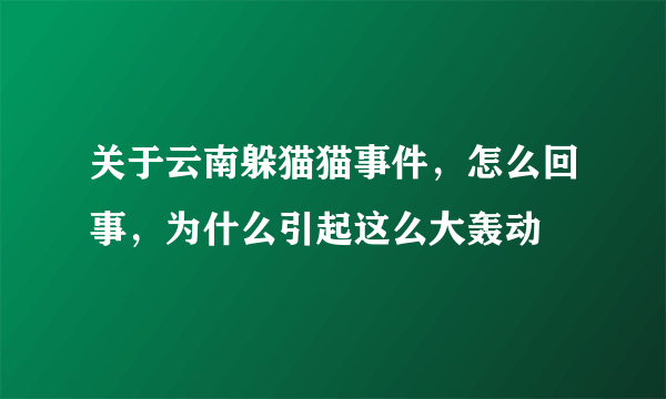 关于云南躲猫猫事件，怎么回事，为什么引起这么大轰动