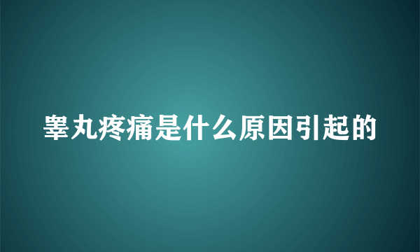 睾丸疼痛是什么原因引起的