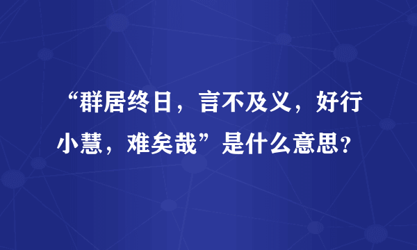 “群居终日，言不及义，好行小慧，难矣哉”是什么意思？