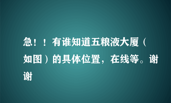 急！！有谁知道五粮液大厦（如图）的具体位置，在线等。谢谢