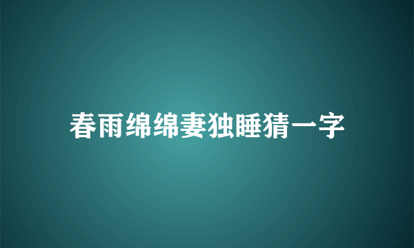 春雨绵绵妻独睡猜一字