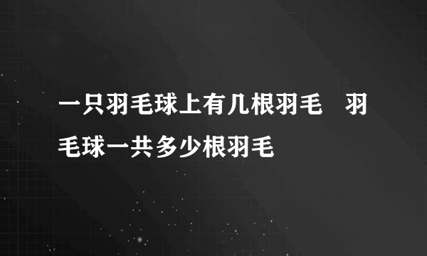 一只羽毛球上有几根羽毛   羽毛球一共多少根羽毛