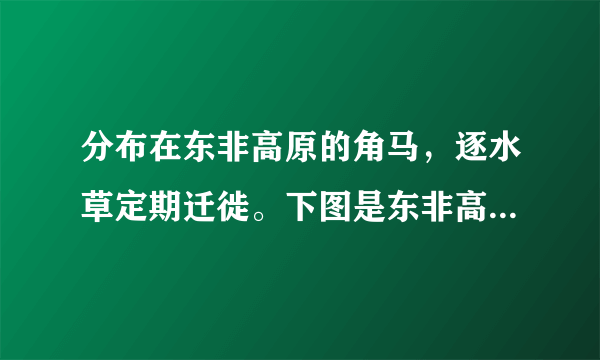 分布在东非高原的角马，逐水草定期迁徙。下图是东非高原马赛马拉和塞伦盖蒂的降水资料及角马在两地之间的迁徙路线。读图，完成下列问题。（1）比较马赛马拉和塞伦盖蒂两地气候降水特征的异同。（2）简析角马在马赛马拉和塞伦盖蒂之间迁移的原因。（3）指出2018年11月至2019年3月角马群的迁徙方向。