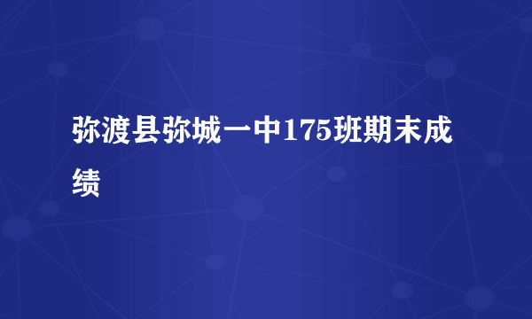 弥渡县弥城一中175班期末成绩