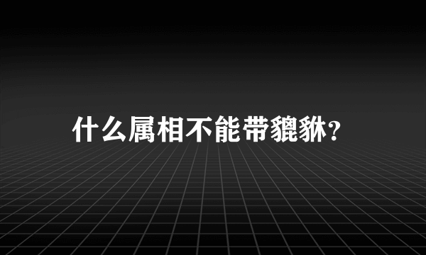 什么属相不能带貔貅？