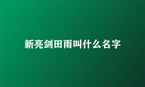 新亮剑田雨叫什么名字