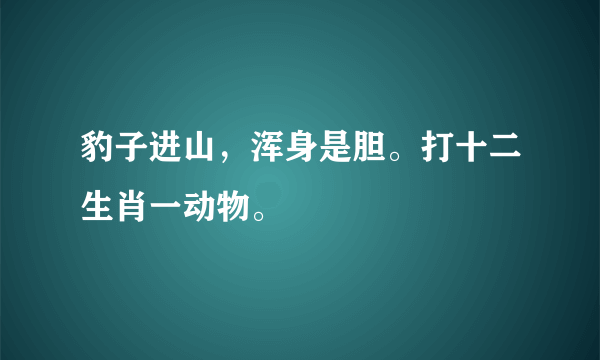 豹子进山，浑身是胆。打十二生肖一动物。