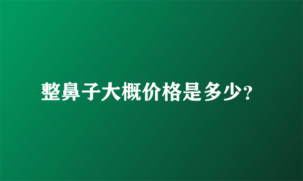 整鼻子大概价格是多少？