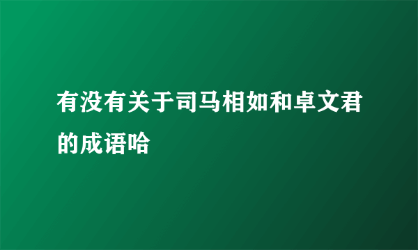 有没有关于司马相如和卓文君的成语哈