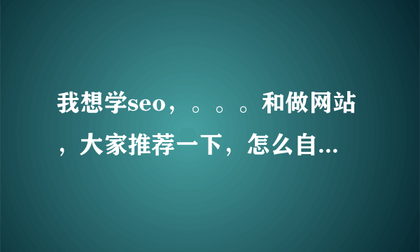 我想学seo，。。。和做网站，大家推荐一下，怎么自学快？看视频教程怎么样？