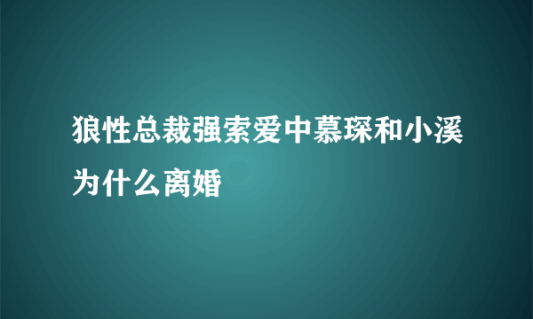 狼性总裁强索爱中慕琛和小溪为什么离婚