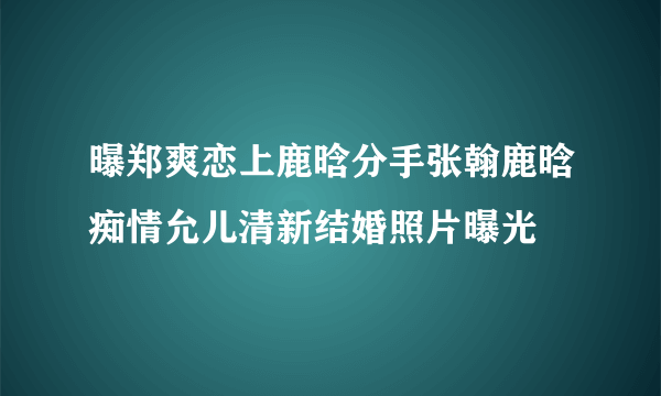 曝郑爽恋上鹿晗分手张翰鹿晗痴情允儿清新结婚照片曝光