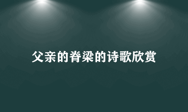 父亲的脊梁的诗歌欣赏