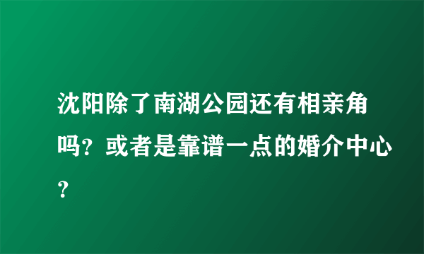 沈阳除了南湖公园还有相亲角吗？或者是靠谱一点的婚介中心？