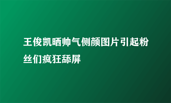 王俊凯晒帅气侧颜图片引起粉丝们疯狂舔屏