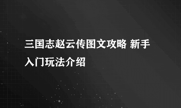 三国志赵云传图文攻略 新手入门玩法介绍