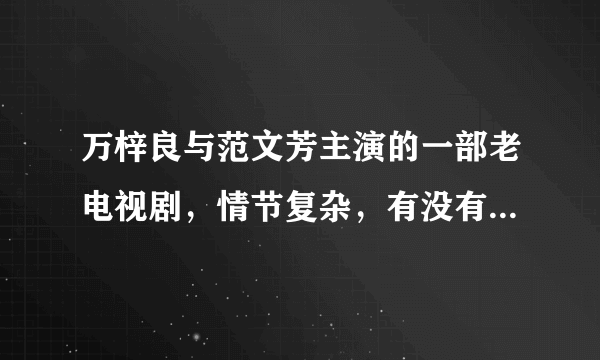 万梓良与范文芳主演的一部老电视剧，情节复杂，有没有知道的？