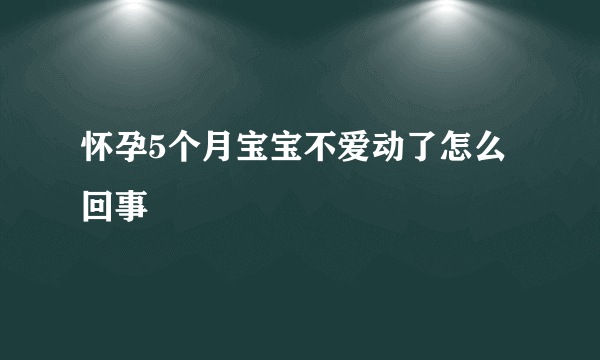 怀孕5个月宝宝不爱动了怎么回事