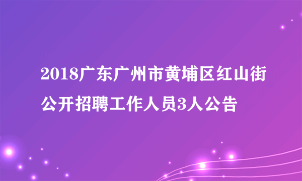 2018广东广州市黄埔区红山街公开招聘工作人员3人公告