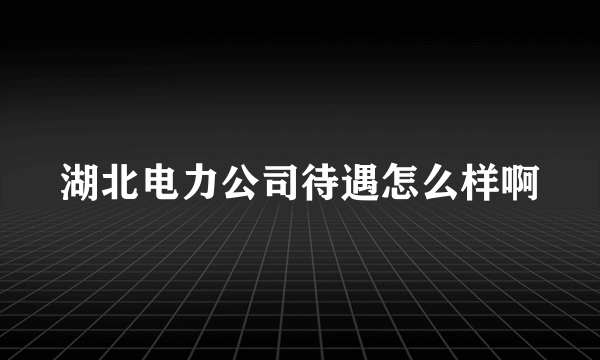 湖北电力公司待遇怎么样啊