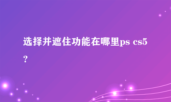 选择并遮住功能在哪里ps cs5？