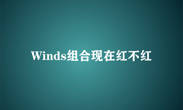 Winds组合现在红不红