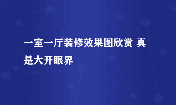 一室一厅装修效果图欣赏 真是大开眼界