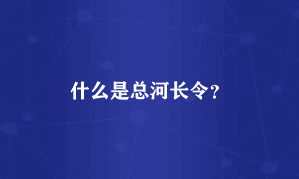 什么是总河长令？