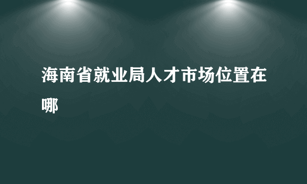 海南省就业局人才市场位置在哪