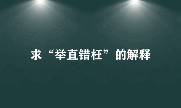 求“举直错枉”的解释