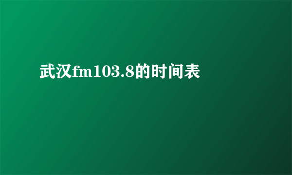 武汉fm103.8的时间表