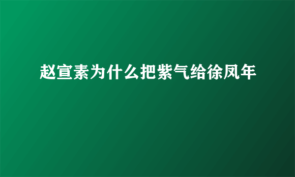 赵宣素为什么把紫气给徐凤年