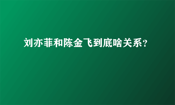 刘亦菲和陈金飞到底啥关系？