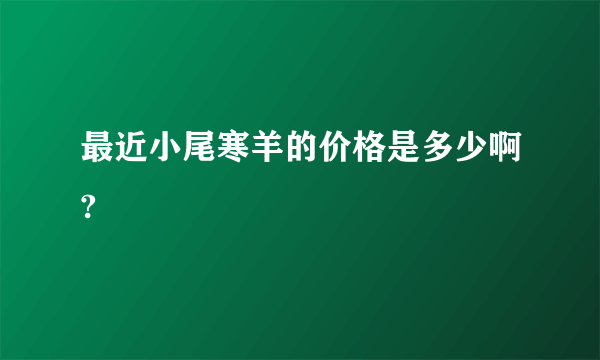 最近小尾寒羊的价格是多少啊?