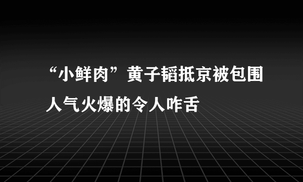 “小鲜肉”黄子韬抵京被包围 人气火爆的令人咋舌