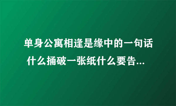 单身公寓相逢是缘中的一句话 什么捅破一张纸什么要告白的那句话