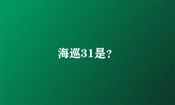 海巡31是？