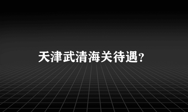 天津武清海关待遇？