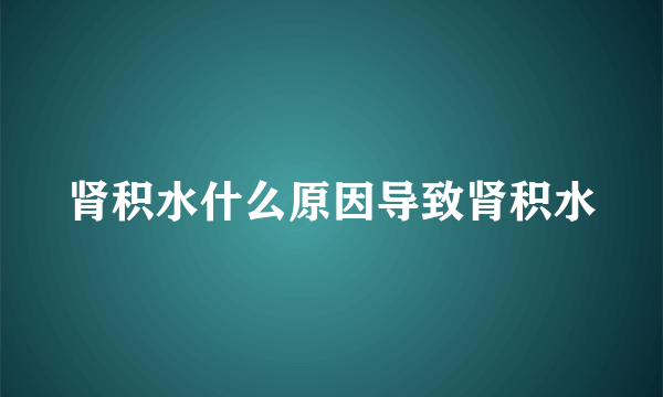 肾积水什么原因导致肾积水