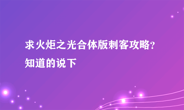 求火炬之光合体版刺客攻略？知道的说下