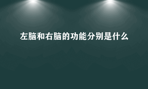 左脑和右脑的功能分别是什么