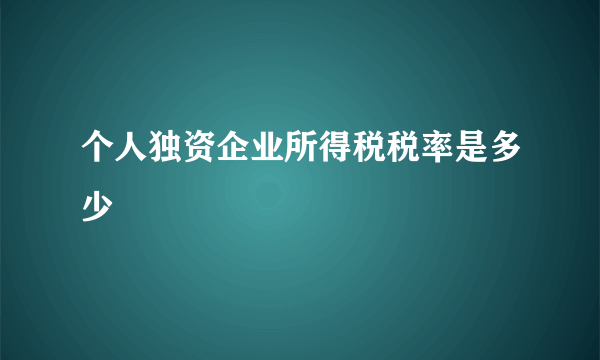 个人独资企业所得税税率是多少