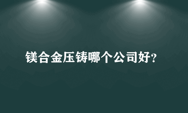 镁合金压铸哪个公司好？