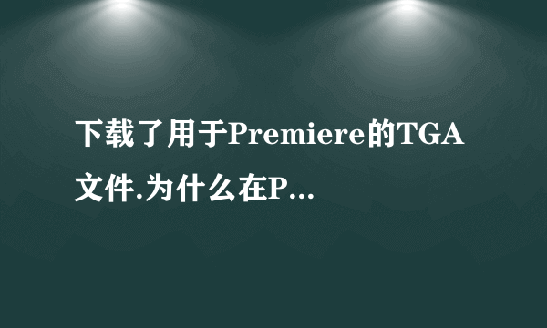 下载了用于Premiere的TGA文件.为什么在PR里那么慢