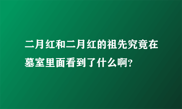 二月红和二月红的祖先究竟在墓室里面看到了什么啊？