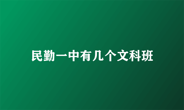 民勤一中有几个文科班