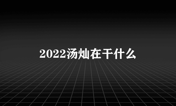 2022汤灿在干什么